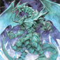 AA-1458: Ice dragon with a blue-green body surrounded by ice crystals